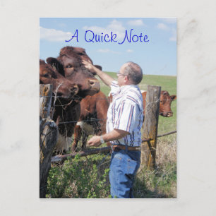 Pinzgauer Bull en koeien - pas aan Briefkaart