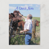 Pinzgauer Bull & Koeien- aanpassen Briefkaart (Voorkant)