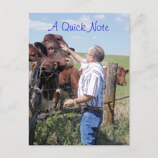 Pinzgauer Bull & Koeien- aanpassen Briefkaart (Voorkant)