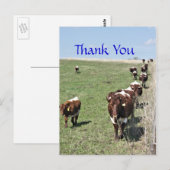 Pinzgauer Cattle 8371 leeg Briefkaart- aanpassen Briefkaart (Voorkant / Achterkant)