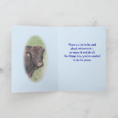 Pinzgauers 8360 Geluk- verandering voor elke geleg Bedankkaart (Binnen)