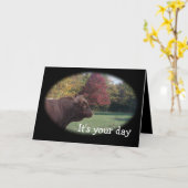 Pinzguaer blkOval-past om het even welke Kaart (Gele Bloem)