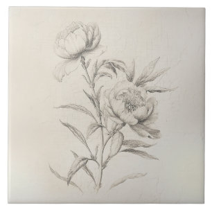 Pioen 3 Botanische Decoratieve Tegel Tegeltje