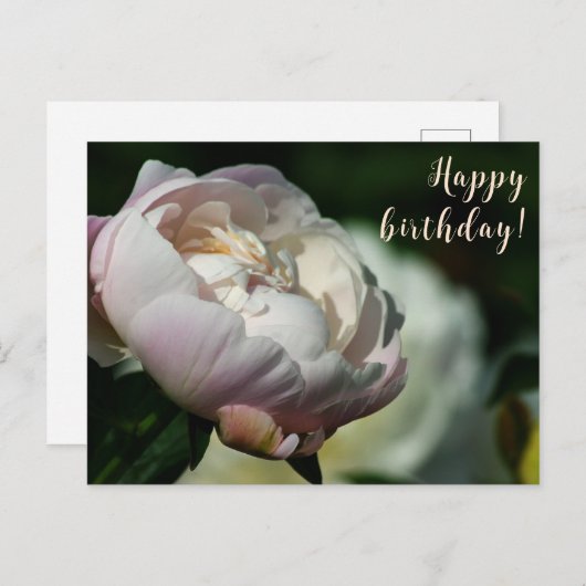 Pioen/Bloem Magic/Witte Bloem/Gelukkige Verjaardag Feestdagenkaart (Voorkant / Achterkant)