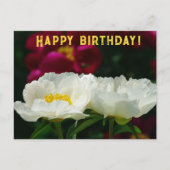 Pioen/Bloem Magic/Witte Bloem/Gelukkige Verjaardag Feestdagenkaart (Voorkant)
