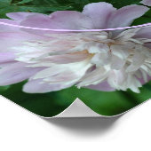 Pioen Bloem Natuur Kader Maak Je Eigen Foto Poster (Hoek)