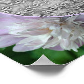 Pioen Bloem Natuur Lijst Creëer Uw Eigen Foto Poster (Hoek)