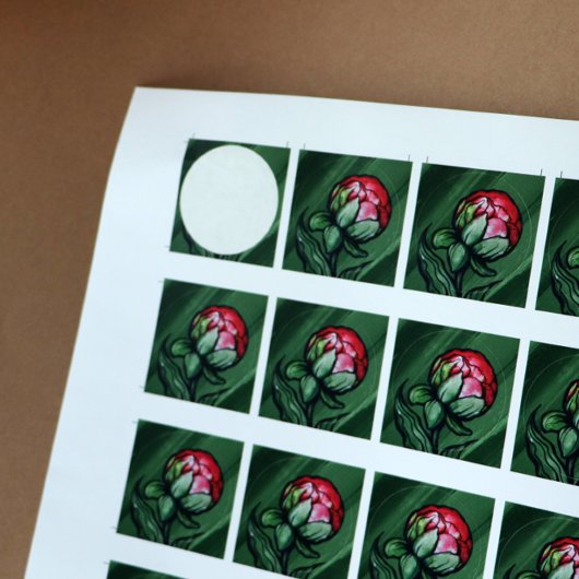 Pioen Bloem Pioenrozen Tuinier kunst Roze Ronde Sticker