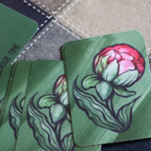 Pioen Bloem Pioenrozen Tuinier kunst Roze