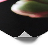 Pioen boeket close-up: roze rood poster (Hoek)