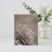 Pioen enkele sepia briefkaart (Staand voorkant)