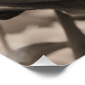 Pioen enkele sepia perfect poster (Hoek)