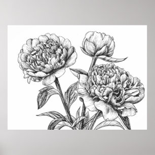 Pioen inkt tekening poster