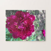 Pioen Jigsaw Puzzel (Horizontaal)