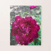 Pioen Jigsaw Puzzel (Verticaal)
