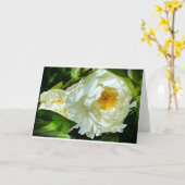 Pioen, kaart (Gele Bloem)