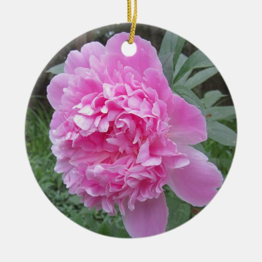 Pioen Keramisch Ornament (Voorkant)