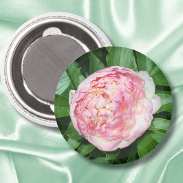 Pioen klaar om te bloeien magneet