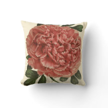 Pioen Kussen Antieke Botanische Illustratie