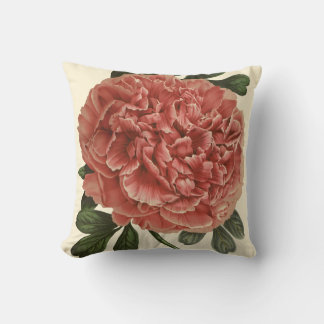 Pioen Kussen Antieke Botanische Illustratie