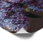 Pioen Lila Bloemenmand Fine Art Classic Garden Perfect Poster (Hoek)