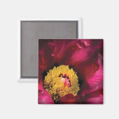 Pioen Magneet (Voorkant / Achterkant)