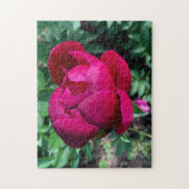 Pioen Puzzel (Verticaal)