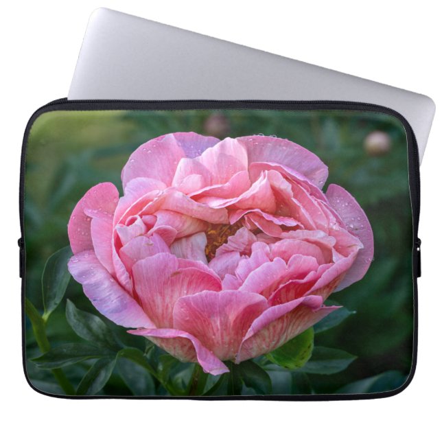 Pioen, Roze Bloem Fotografie Laptop Sleeve (Voorkant)