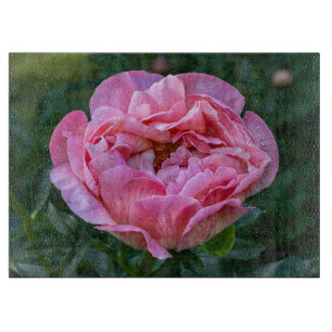 Pioen, Roze Bloem Fotografie Snijplank