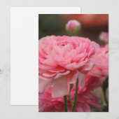 Pioen Roze Ranunculus Close-up Feestdagenkaart (Voorkant / Achterkant)
