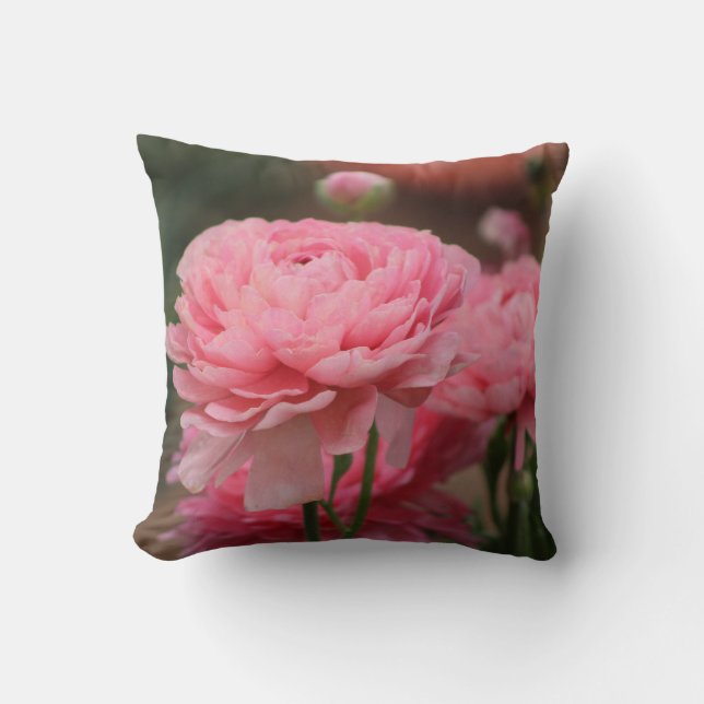 Pioen Roze Ranunculus Close-up Kussen (Voorkant)
