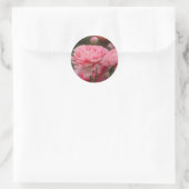 Pioen Roze Ranunculus Close-up Ronde Sticker (Tas)