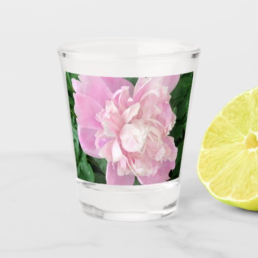 Pioen Schotglas Shot Glas (Voorkant)