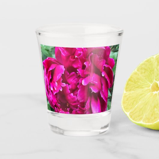 Pioen Schotglas Shot Glas (Voorkant)