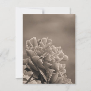 Pioen Single Sepia Briefkaart