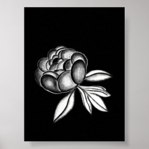 pioen tekening met potlood poster