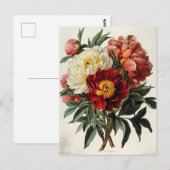 pioen: tijdloze bloemige elegantie briefkaart (Voorkant / Achterkant)