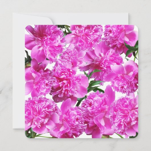 Pioen uitnodiging. Uitnodiging (Achterkant)