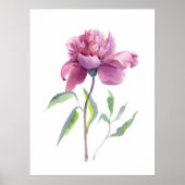 Pioen Waterverf Botanische Muurkunst Poster (Voorkant)