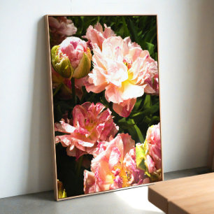 Pioenbloem fotografie in blozende tinten – Zachte Poster
