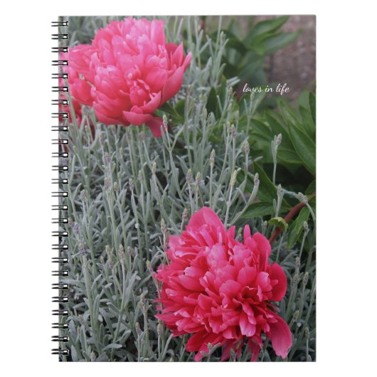 Pioenen & Lavendel Notitieboek (Voorkant)