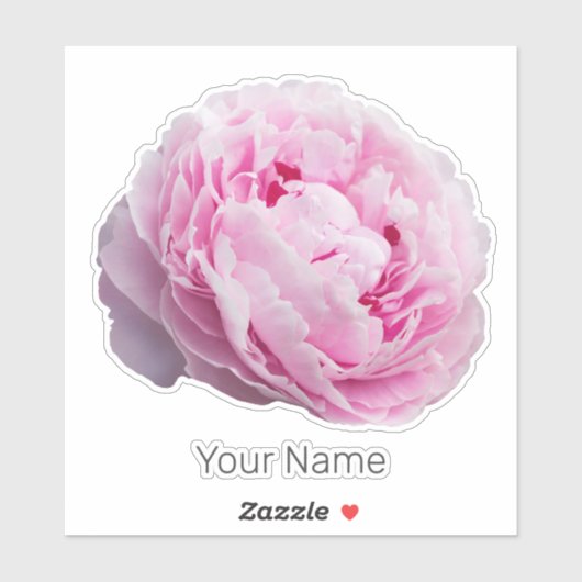 Pioenenbloesem Roos voor bloem- en tuinliefhebber Sticker (Vel)