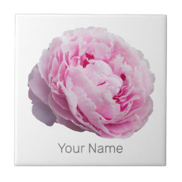 Pioenenbloesem Roos voor bloem- en tuinliefhebber Tegeltje