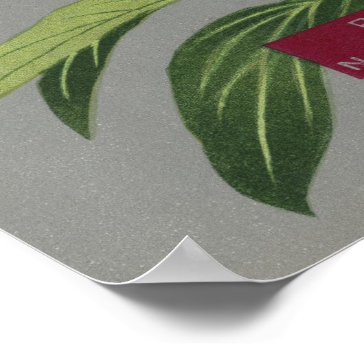 Pioenenbloesem, roze & rode bloem 1939 poster (Hoek)