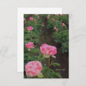 Pioenenveld Notitiekaartje (Voorkant / Achterkant)