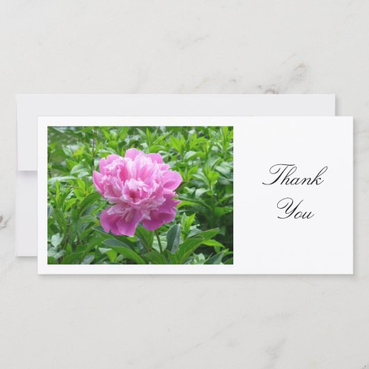 Pioenroos - Dank je wel Bedankkaart (Voorkant)
