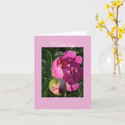 Pioenroos - Je mist  kaart (Gele Bloem)