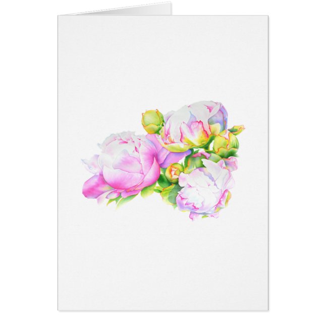 Pioenrozen, roze, wit, aquarel bloemschildering (Voorkant)