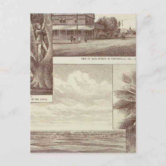 Pioneer Land Co. tract, Porterville Briefkaart (Voorkant)