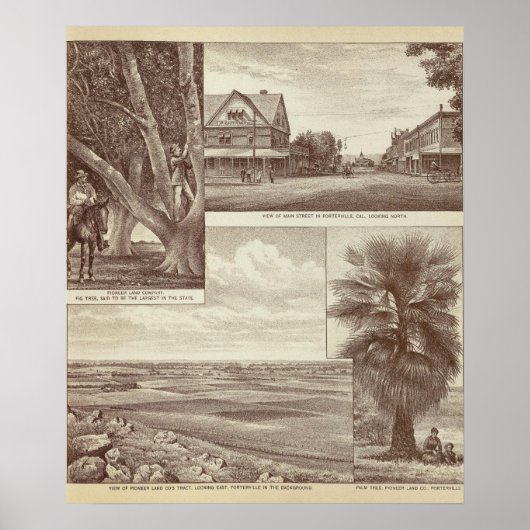 Pioneer Land Co. tract, Porterville Poster (Voorkant)